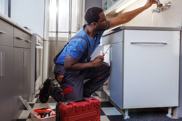 Trusted Colchester, IL Plumbing services Experts